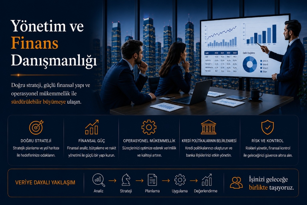 Yönetim ve Finans Danışmanlığı